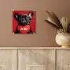 Amor - Hond  - Hartje - Rood plexiglas 5mm klein -sfeer5