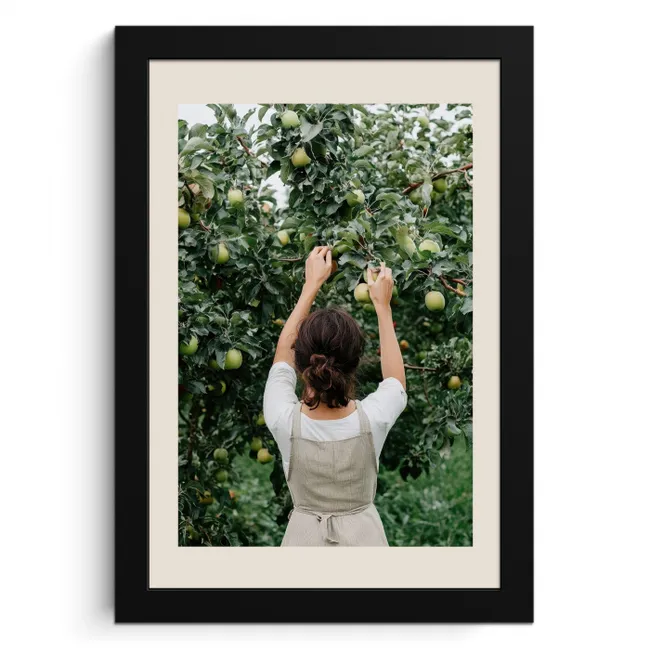 Boom - Appels - Plukken - Natuur KitchenYeah - Keuken - Fotolijst klein -3d