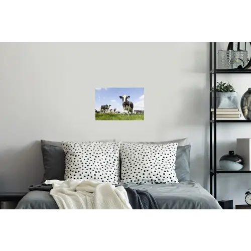 Koeien - Gras - Dieren - Zon - Boerderij Muursticker klein -slaapkamer