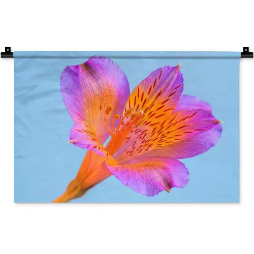 Bloem - Detail - Kleurrijk Wandkleed katoen klein -zz3d