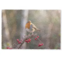 Roodborst - Tak - Bessen - Natuur Deurmat klein -zkaufland3d