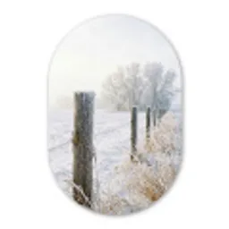 Hek - Sneeuw - Mist - Platteland - Nostalgisch Wandcirkel Ovaal Forex klein -3d