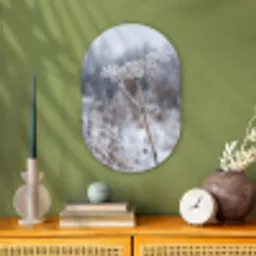 Schermbloem - Rijp - Kristallen - Winter - Delicaat Wandcirkel Ovaal Forex klein -sfeer2