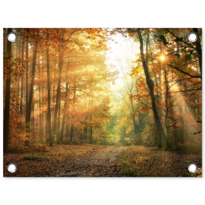 Bos - Herfst - Zon - Landschap - Natuur - Bomen - Bladeren tuinposter los doek klein -3d
