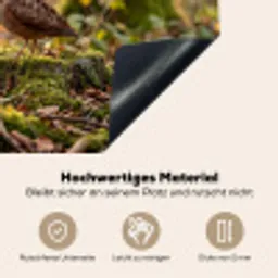 Houtsnip - Bos - Bladeren - Herfst - Gecamoufleerd Inductie beschemer met haakjes klein -ky-onderkant-de