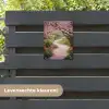 Kersenbloesem - Natuur - Sakura - Pad - Japanse tuin tuinposter los doek klein -sfeer3
