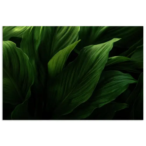 Bladeren - Schaduw - Groen - Textuur poster papier klein -3d