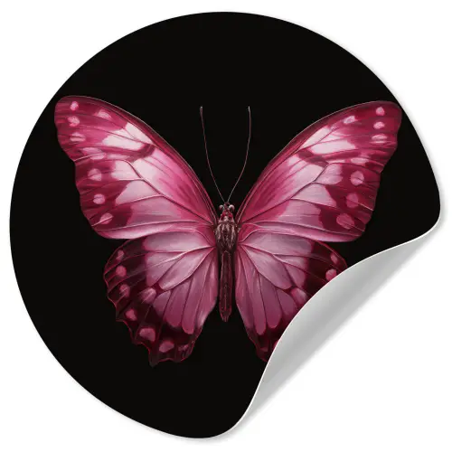 Vlinder - Fuchsia - Grafisch Wandcirkel behangsticker klein -3d