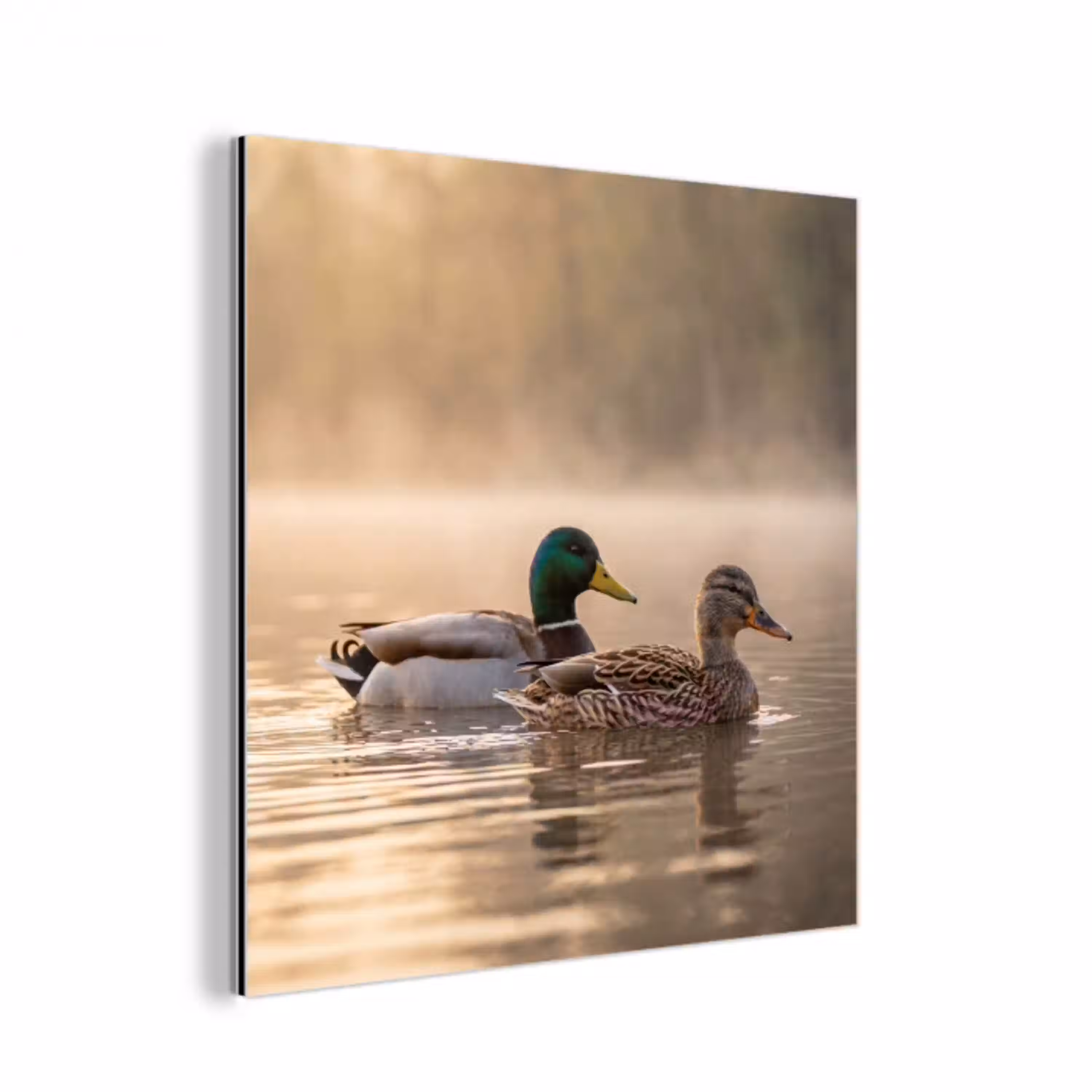 Eenden - Water - Mist - Natuur aluminium wit klein -3d
