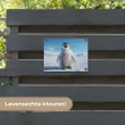 Pinguïn - Sneeuw - Landschap - Wit tuinposter los doek klein -sfeer3