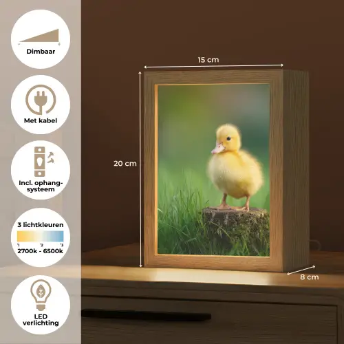 Kuiken - Eend - Geel - Gras Light Box met kabel (Tafellamp) klein -USP_NL
