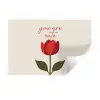 Roos - Rood - Bloem - Valentijn Muursticker klein -3d