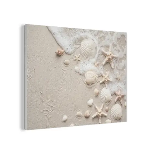 Schelpen - Zeesterren - Strand PET vilt klein -3d