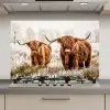 Schotse hooglander - Koe - Natuur - Winter keuken achterwand spatscherm klein -3d_website