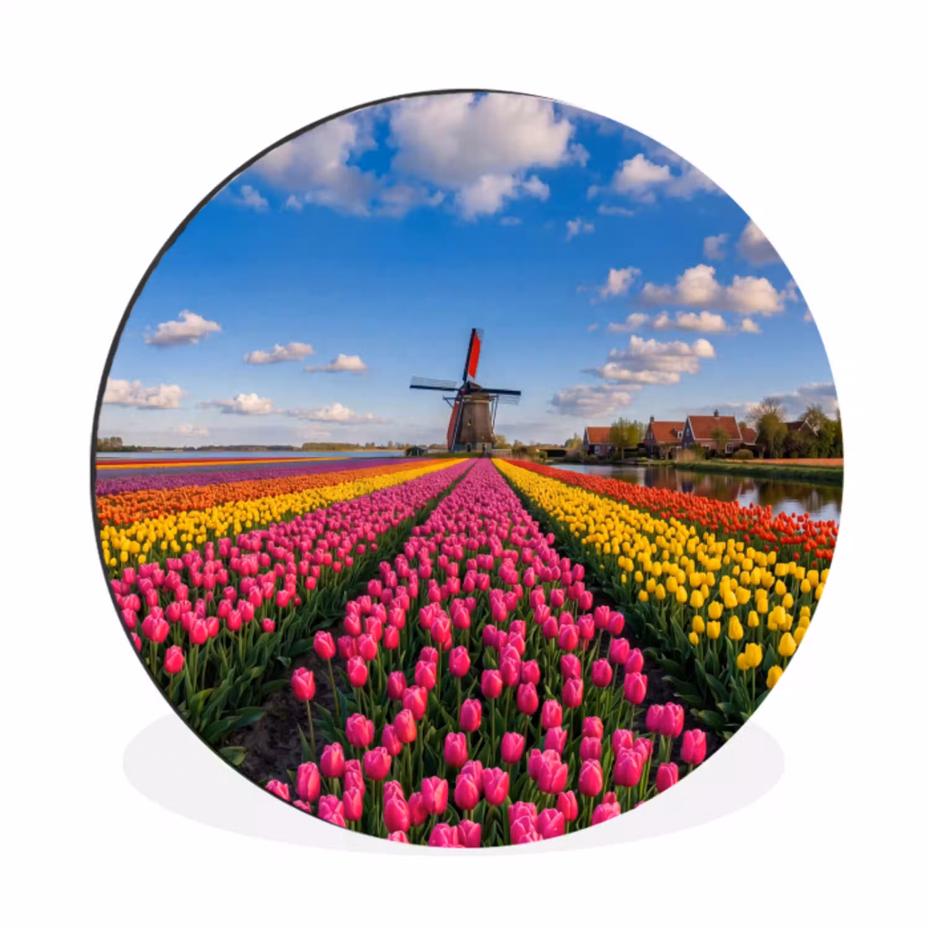 Tulpen - Holland - Molen - Kleurrijk Wandcirkel aluminium klein -3d