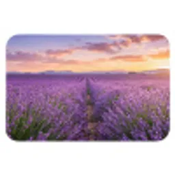 Lavendel - Veld - Natuur - Paars Badmat klein -3d