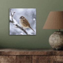 Vogel - Tak - Sneeuw - Winter aluminium wit klein -sfeer2