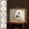 Uil - Bruin - Wit Light Box met batterij (Wandlamp) middel -USP_websiteoverzichtNL