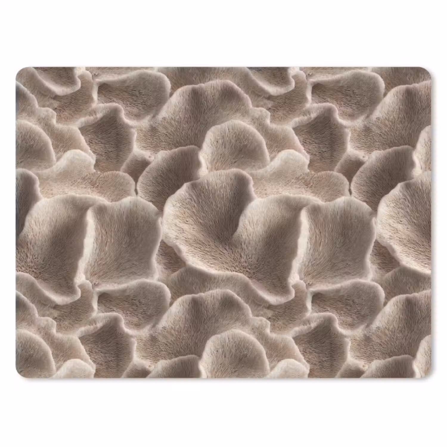 Muismat - Waaiervorm - Beige - Vezel textuur