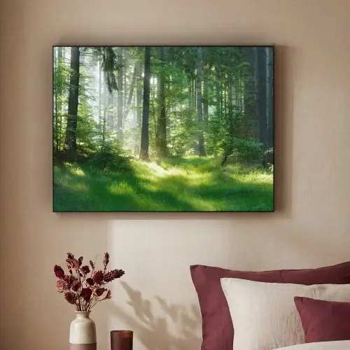 Natuur - Bomen - Bos - Groen - Zon - Gras - Planten Textielframe - compleet frame klein -sfeer1