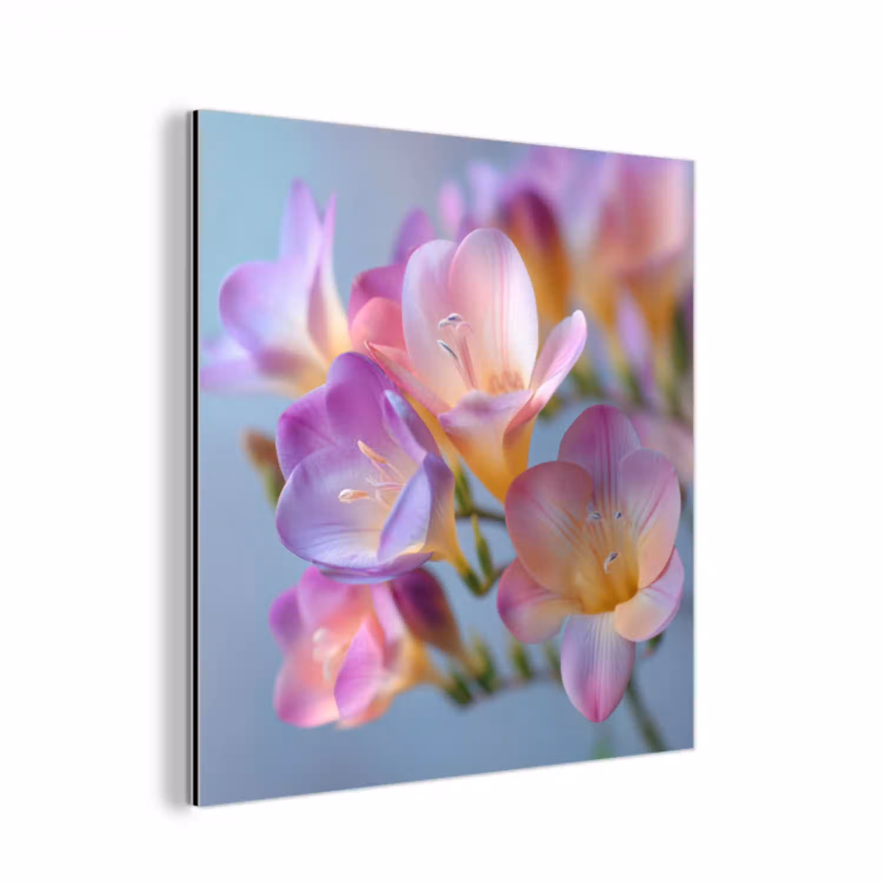Bloemen - Paars - Overloop - Meeldraden aluminium wit klein -3d