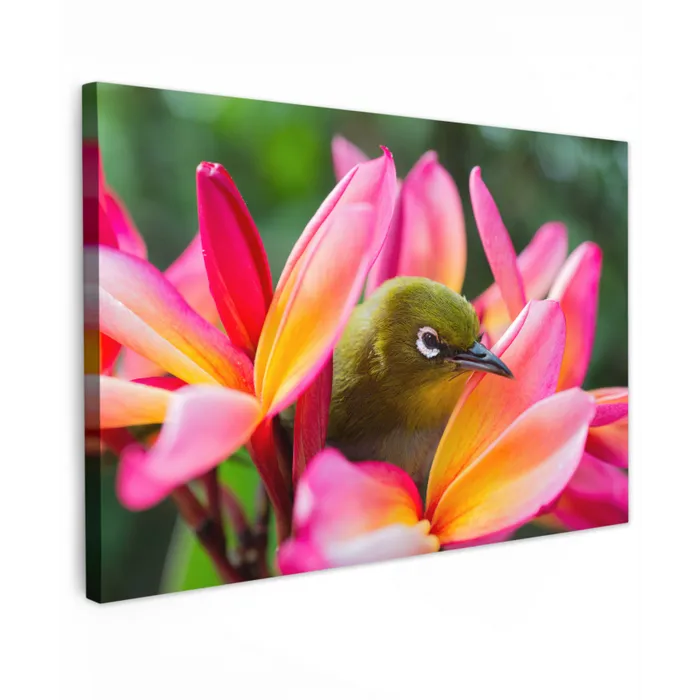 Tropische vogel tussen roze bloem Tuinposter op houten frame 2 cm dik klein -3d