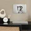 Zonnebril - Dalmatiër - Wijnglas - Tong poster papier klein -sfeer1