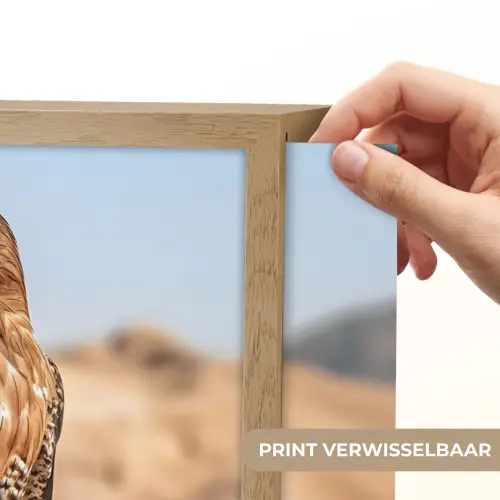 Valk - Vogel - Rots - Macht Light Box met batterij (Wandlamp) middel -USP_websiteprintNL