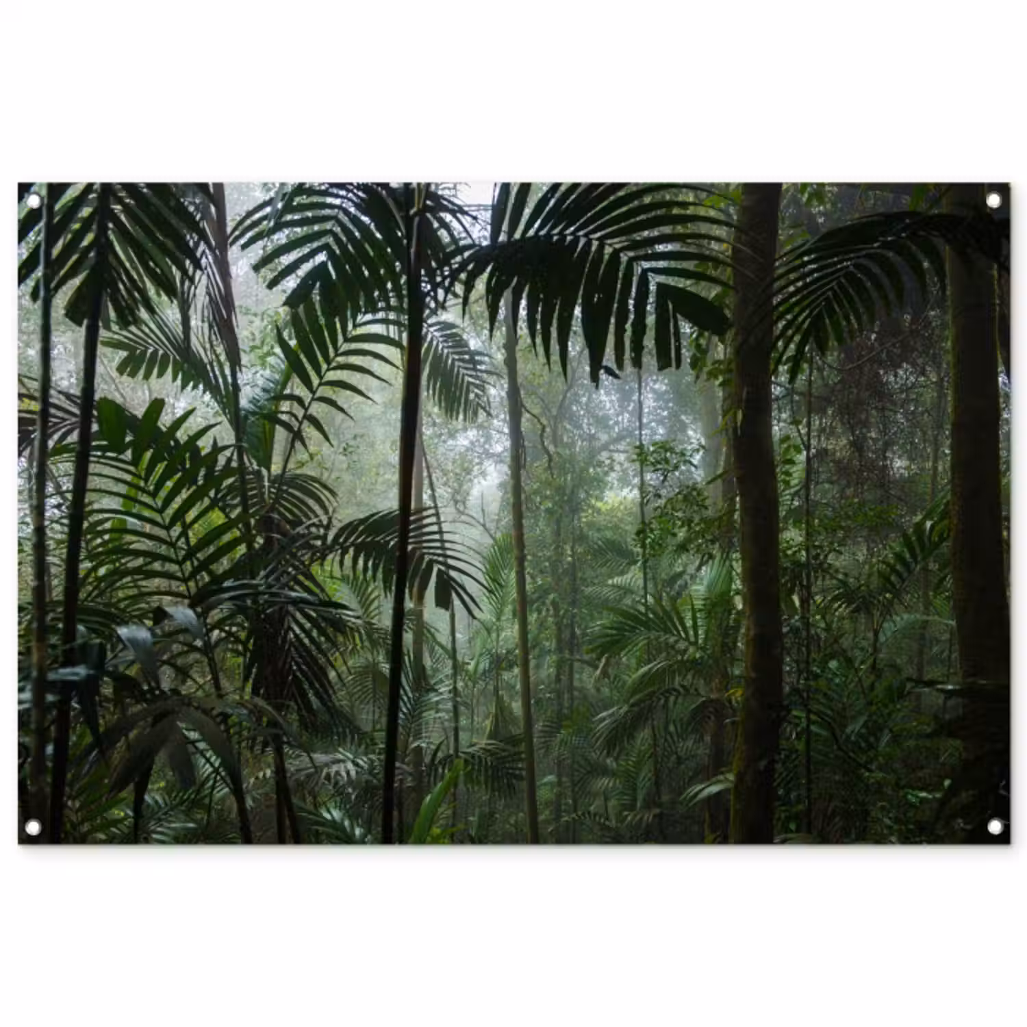 Tuinposter - Mysterieuze Tropische Woud