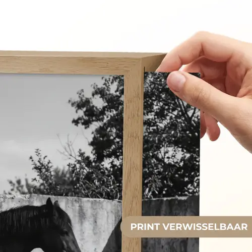 Vrouw - Paard - Artistiek Light Box met batterij (Wandlamp) middel -USP_websiteprintNL