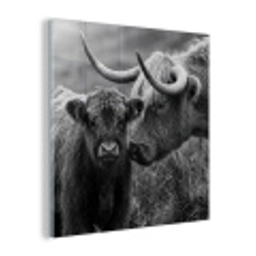 Schotse hooglander - Kalf - Zwart - Wit plexiglas 5mm klein -z3d