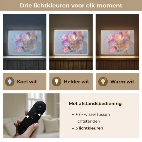 Bloemen - Paars - Overloop - Meeldraden Light Box met batterij (Wandlamp) middel -USP_lichtkleurNL