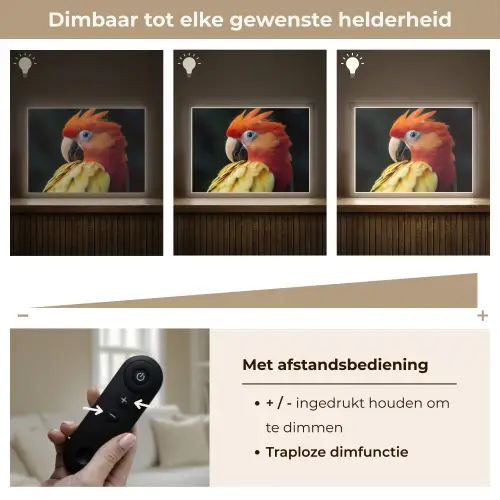 Close-up - Papegaai - Veren - Oranje Light Box met batterij (Wandlamp) middel -USP_dimbaarNL