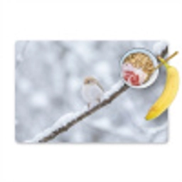 Vogeltje - Sneeuw - Tak - Winter - Zacht Placemat vinyl groot -zzzproduct_Kitchenyeah-website