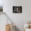 Paard - Dieren - Zwart - Luxe - Modern tuinposter los doek klein -sfeer8