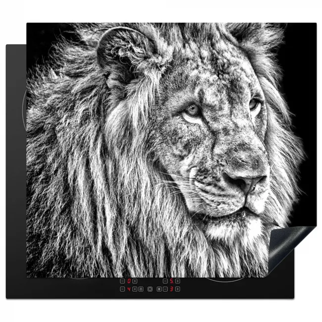 Gravure van een Koning Inductie beschermer vinyl 3mm middel -3d