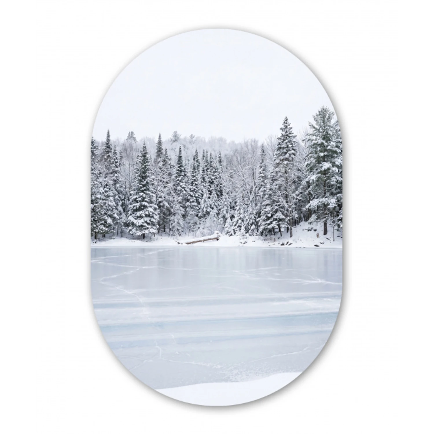 Meer - Dennen - IJs - Winter - Rustgevend Wandcirkel Ovaal Aluminium middel -3d