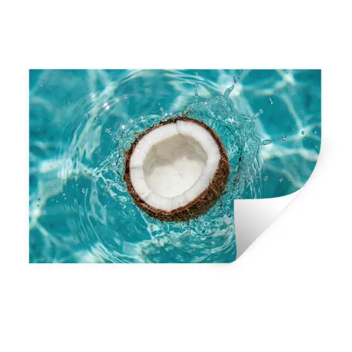 Kokosnoot - Water - Wit Muursticker klein -3d