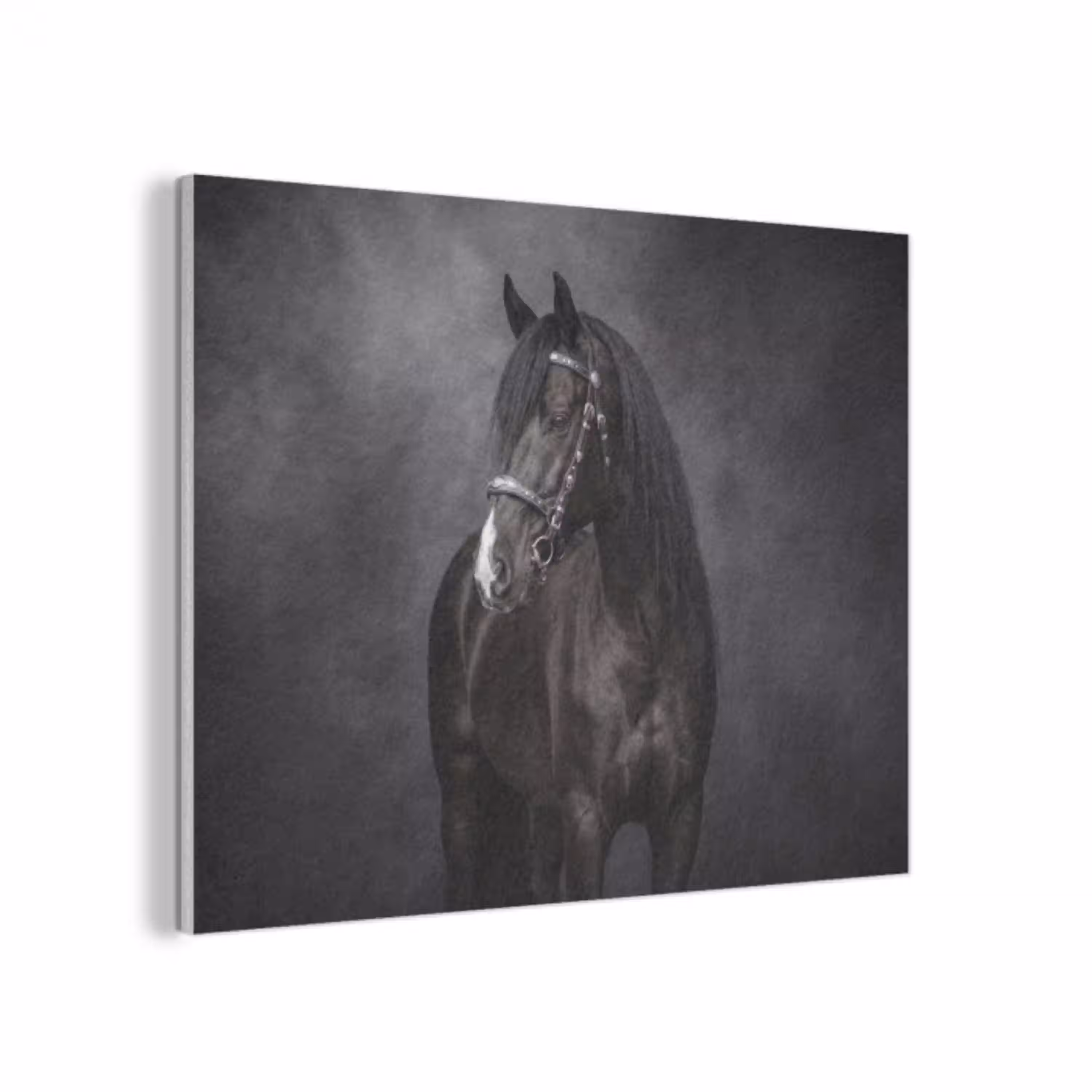 Portret - Paard - Zwart PET vilt klein -3d