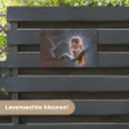 Vogel - Uil - Steenuil tuinposter los doek klein -sfeer3
