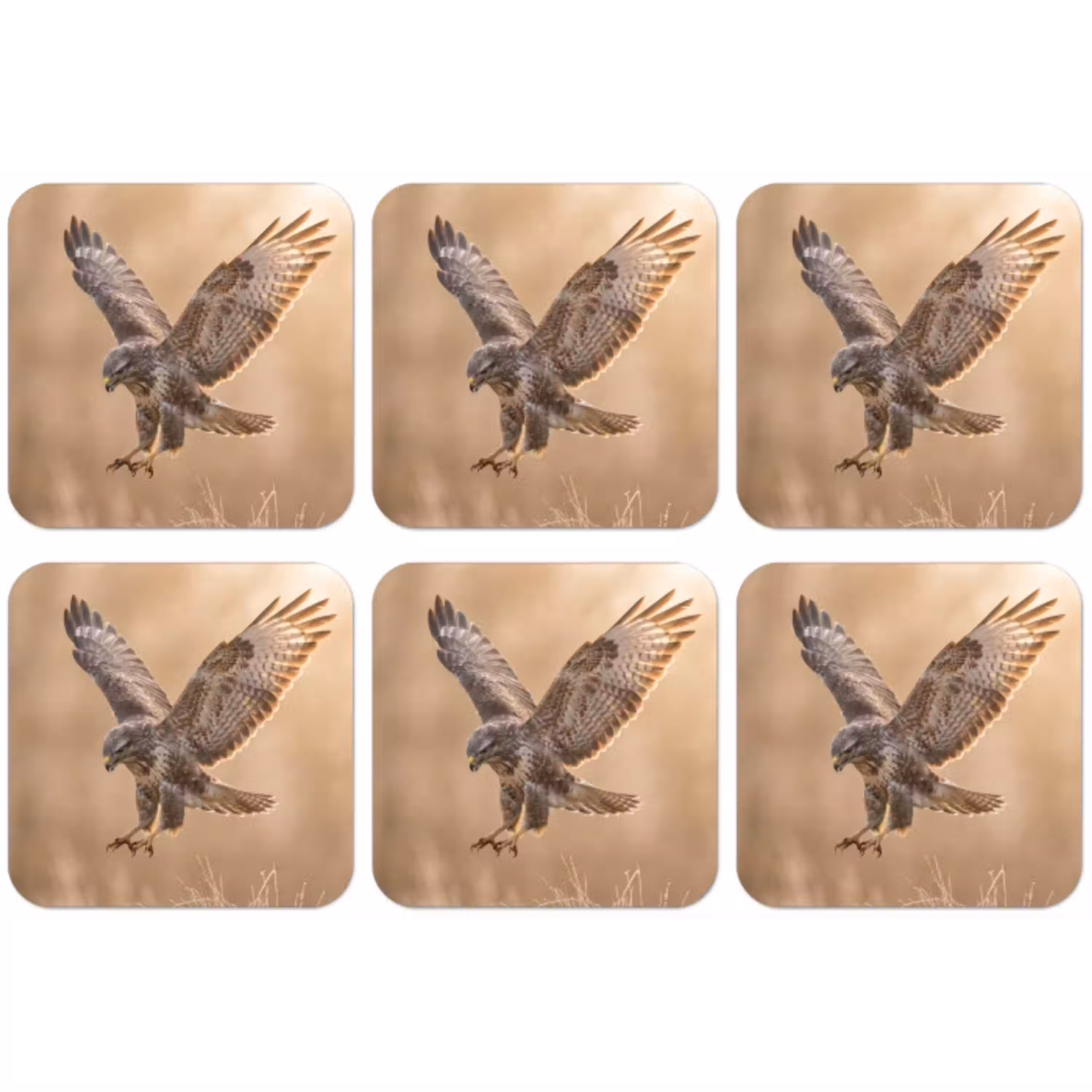 Buizerd - Roofvogel - Natuur - Bruin onderzetter kurk middel -zkaufland3dotto