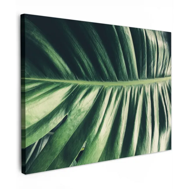 Inductie beschermer - Bananenblad - Tropisch - Jungle - Bladeren Tuinposter op houten frame 2 cm dik klein -3d