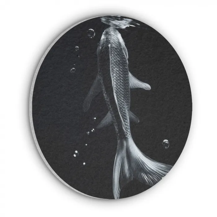 Koi - Vissen - Water - Zwart Akoestische PET Vilt - Rond klein -3d