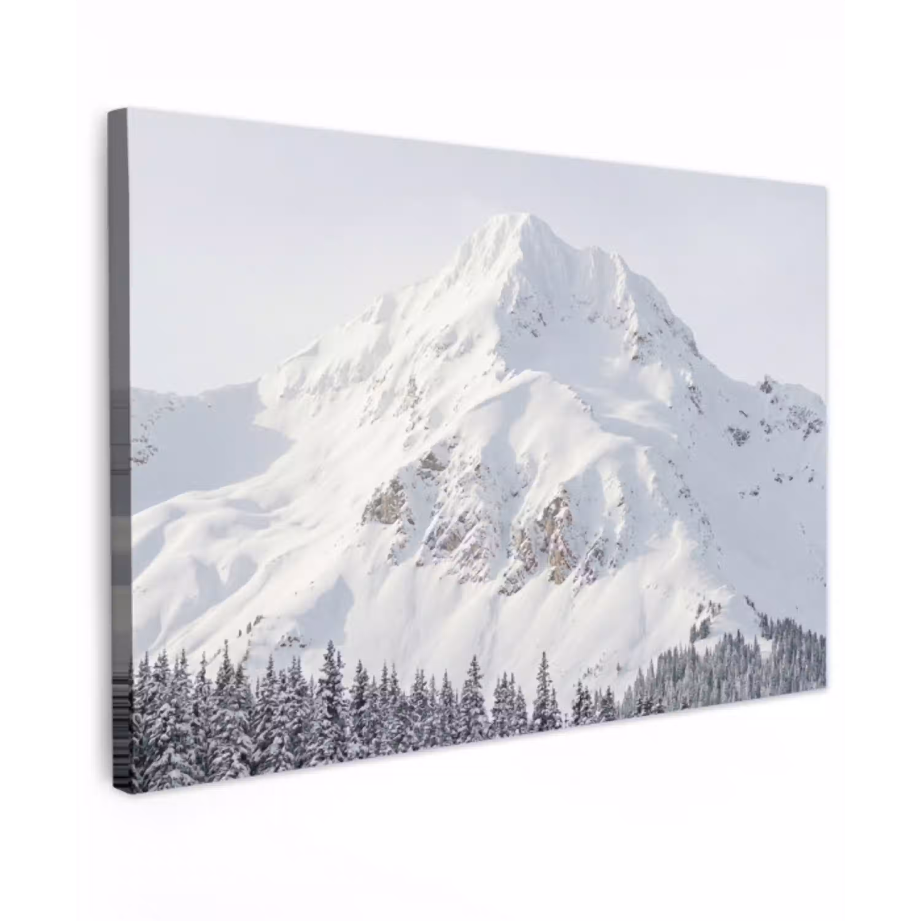 Berg - Sneeuw - Winter - Natuur - Wit Tuinposter op houten frame 2 cm dik klein -3d
