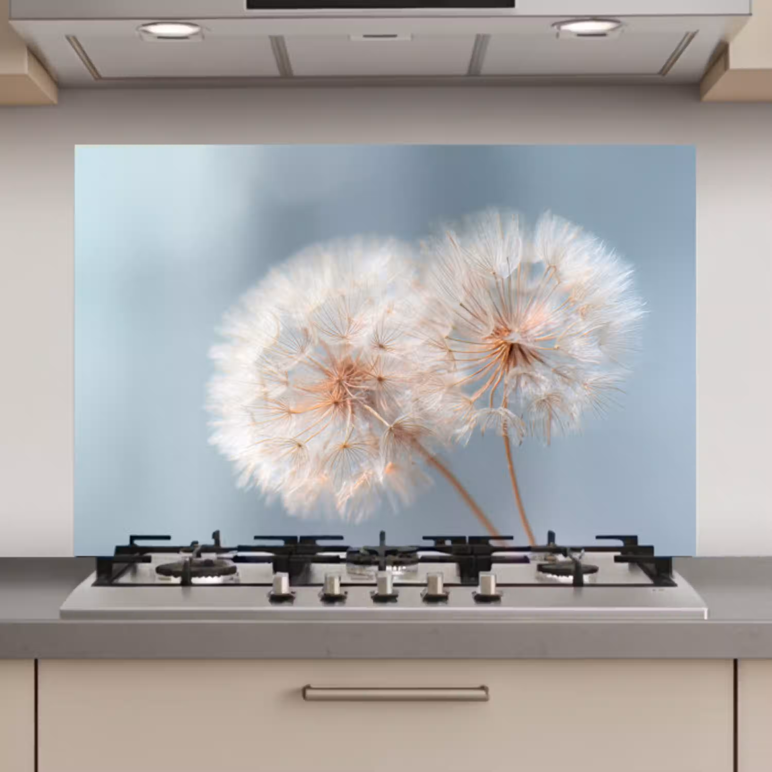 Paardenbloemen - Pluisjes - Wit keuken achterwand spatscherm klein -3d_website