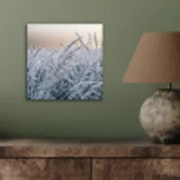 Rijp - Gras - Kristallen - Winter - Minimalistisch aluminium wit klein -sfeer2