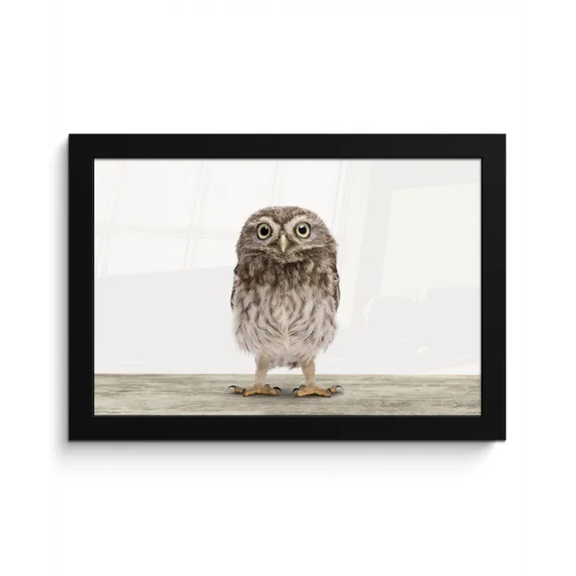 Uil - Bruin - Uilskuikentjes - Kinderen - Jongens - Meisjes fotolijst zwart zonder passe partout klein -3d