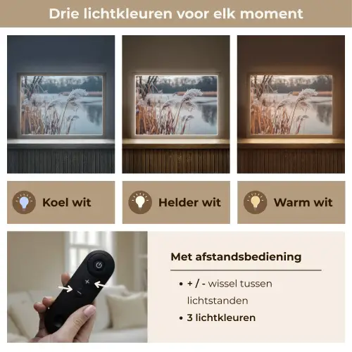 Riet - Gras - Natuur - Winter - Meer Light Box met batterij (Wandlamp) middel -USP_lichtkleurNL