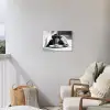 Aap - Spaghetti - Zonnebril - Zwart wit - Cool - Dier Tuinposter op houten frame 2 cm dik klein -sfeer1