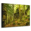 Bomen - Steen - Bos - Natuur - Planten Textielframe zwart klein -3d
